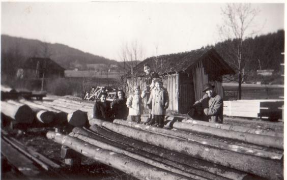 Der Holzplatz am Ende des Lagers, hier wurden Baracken errichtet, in einer wohnten wir später